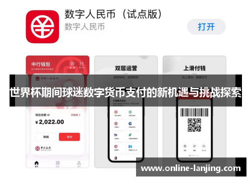 世界杯期间球迷数字货币支付的新机遇与挑战探索