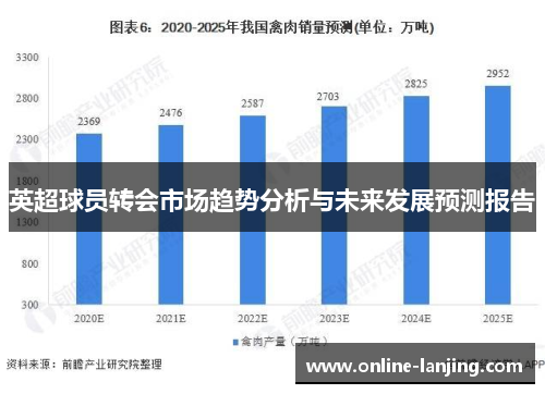 英超球员转会市场趋势分析与未来发展预测报告