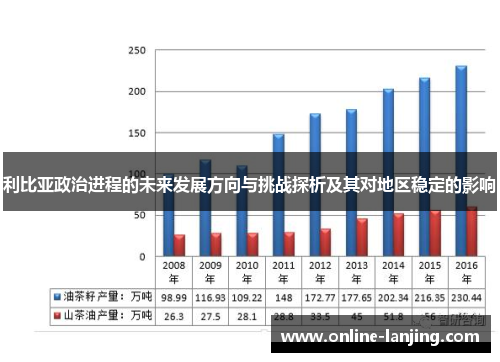 利比亚政治进程的未来发展方向与挑战探析及其对地区稳定的影响