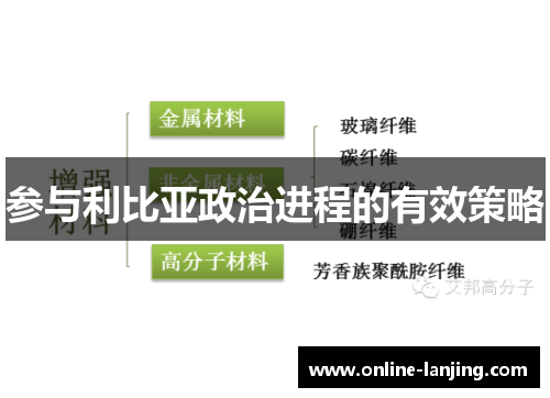 参与利比亚政治进程的有效策略