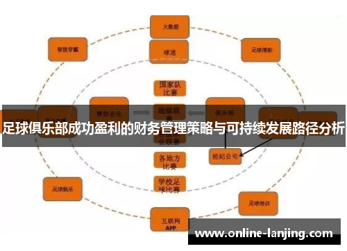 足球俱乐部成功盈利的财务管理策略与可持续发展路径分析